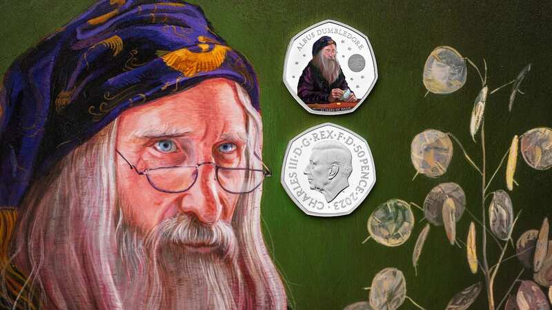 The collection was introduced last year to celebrate the 25th anniversary of the publication of the first Harry potter book (Image: CPG Photography)