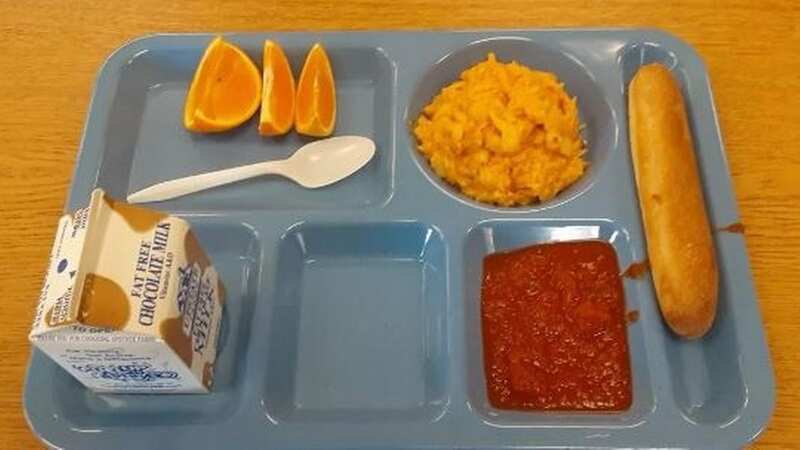 He claims portion sizes have taken a hit since free school dinners were introduced (Image: Reddit)