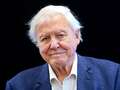David Attenborough admits biggest regret of his 69 year career is working abroad