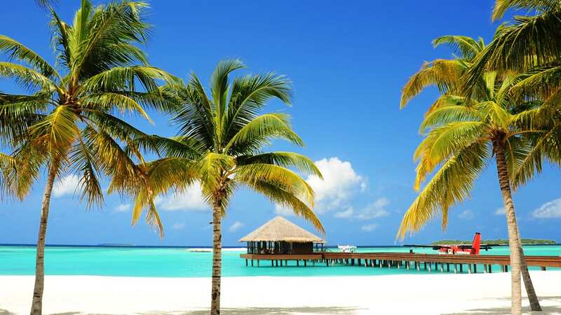 The deal includes a holiday to the Maldives (Image: Moment RF)