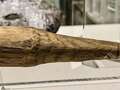 Roman dildo discovered as experts re-examine 2,000-year-old wooden phallus