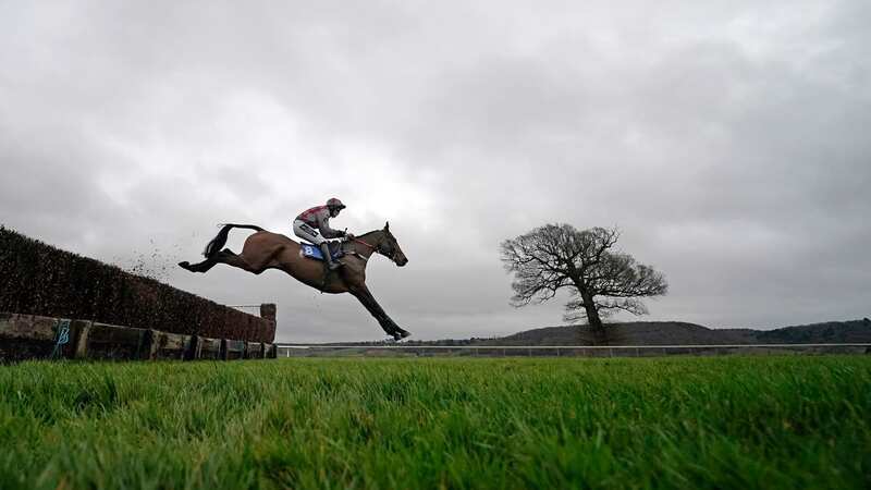 Taunton Racecourse racecourse features a seven-race card on Tuesday (Image: Getty)