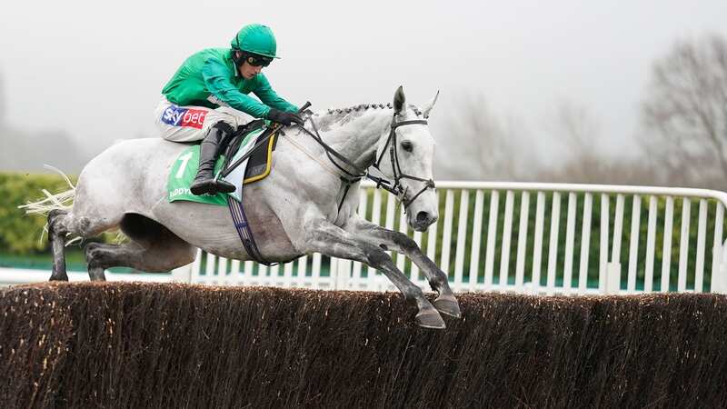 Bristol De Mai: the 12-year-old has been retired after his latest run at Haydock (Image: Getty)