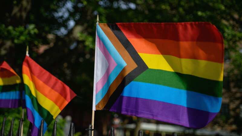 The Progress Pride flag marks how far the fight for equal rights has come (Image: AFP via Getty Images)