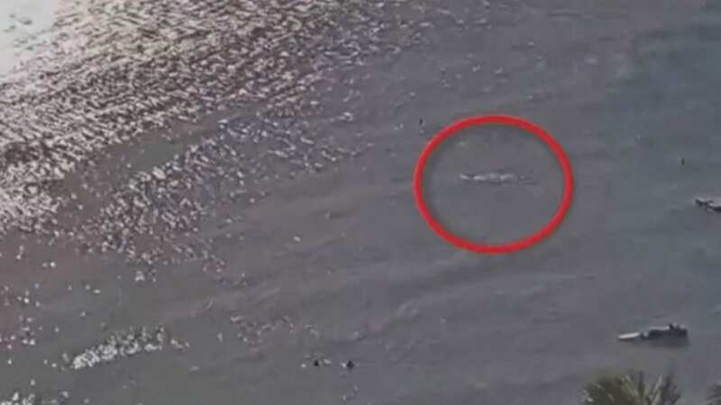Horrific moment shark mauls tourist to death just weeks after similar attack