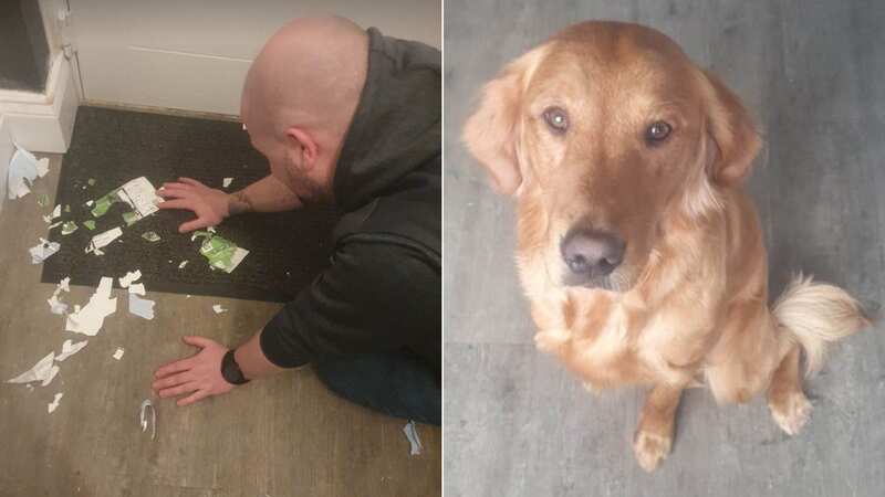 Newcastle United fan Alan Carling was not happy with his beloved pup Rudy (Image: Iain Buist / Newcastle Chronicle)