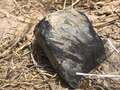 Huge fireball after 1,000lb meteorite smashes into Earth as 'loud boom' heard