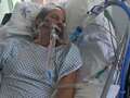 Brit in two-month coma after contracting bird flu infection on skiing holiday