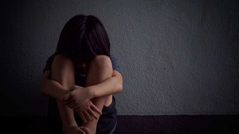 Two former commissioners have voiced alarm over the treatment of migrant children (Image: PA)