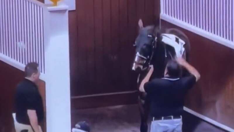 An assisitant to trainer Michael Stidham aims a slap at the filly Chippewa (Image: Twitter@https://twitter.com/SwiftHitter)