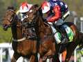Newsboy's ITV Racing tips for Kempton, Newcastle and Lingfield dqxikeidqkikdinv