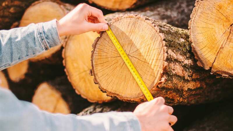 People wish they learned it sooner (stock image) (Image: Getty Images/iStockphoto)