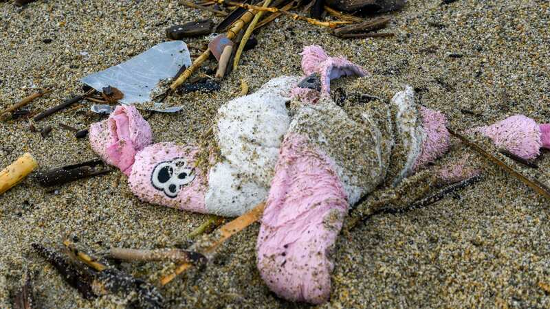 Personal belongings among the wreckage of a boat washed ashore at a beach near Cutro, southern Italy (Image: AP)