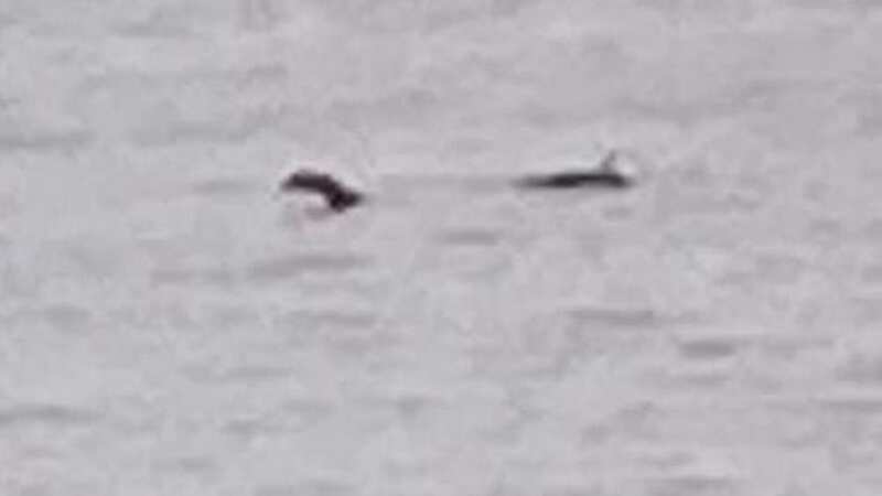 The Loch Ness Monster is a creature in Scottish folklore that is said to inhabit Loch Ness in the Scottish Highlands (Image: Anna Purse/SomersetLive)