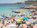 Ibiza put on dengue fever alert after tourists catch disease on holiday island dqxikeidqkikdinv