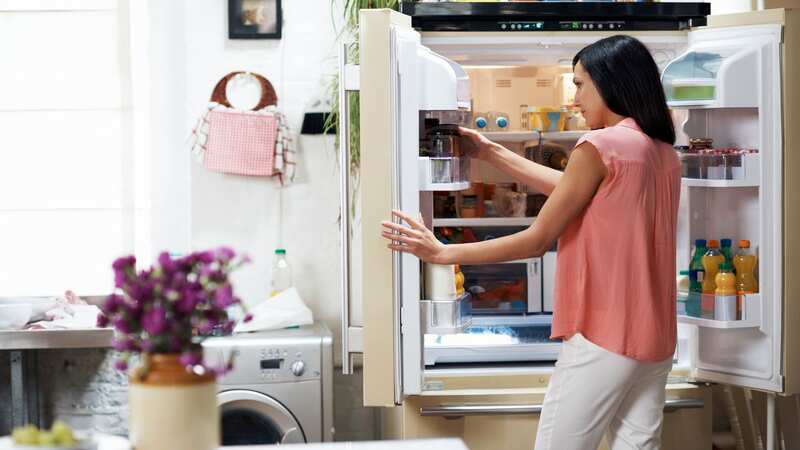 Preserving food for longer is important to many, especially as the cost of living has risen (Stock Image) (Image: Getty Images)