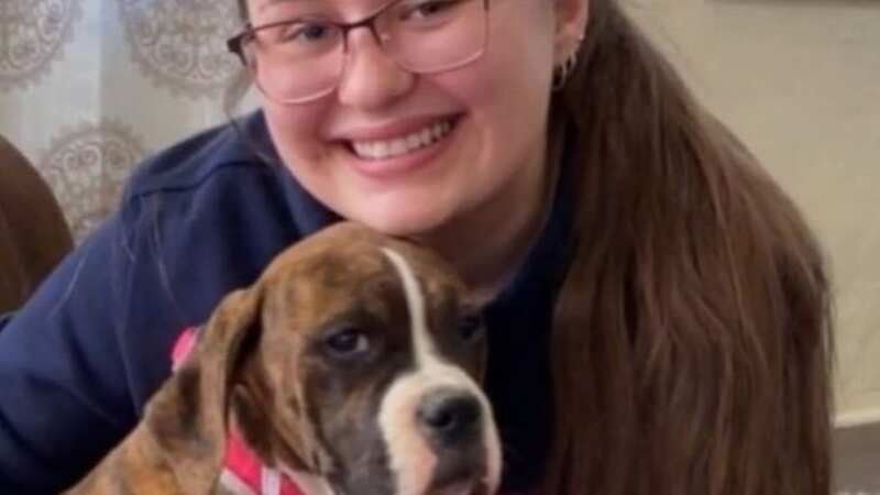 Marlee, the beloved pet dog of Lizbeth Berzinski, survived three weeks in a brutal snowstorm in Big Bear (Image: cbs news)