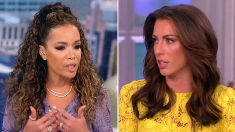 The View co-hosts were involved in a heated debate (Image: ABC)