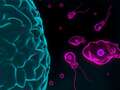 Man dies from brain-eating amoeba after washing nose with tap water