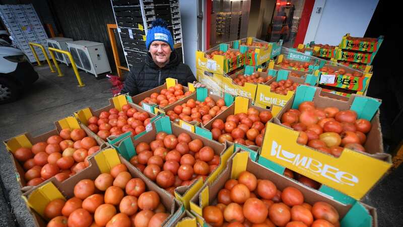 The tomato shortage isn