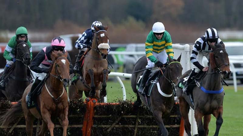 Newcastle features a seven-race jumping card on Tuesday, where Newsboy