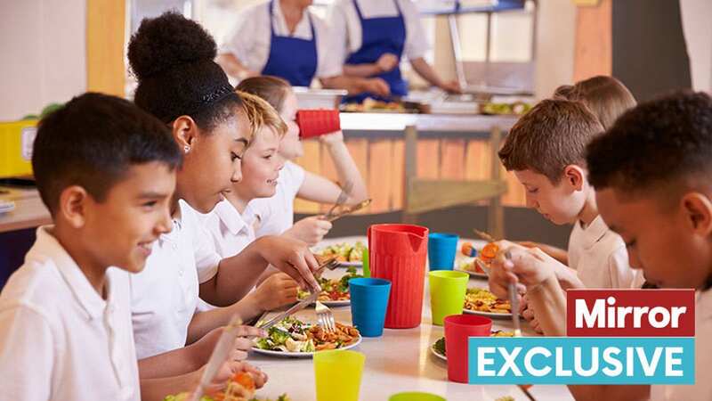 An estimated 800,000 children in England who are living in poverty miss out on free school meals (Image: Getty Images/iStockphoto)