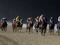 Newsboy's horse racing tips for Wednesday meetings, including Newcastle Nap dqxikeidqkikdinv