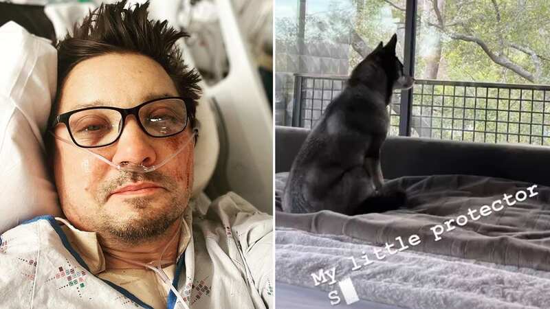 Jeremy Renner praised his pet pooch (Image: Instagram)