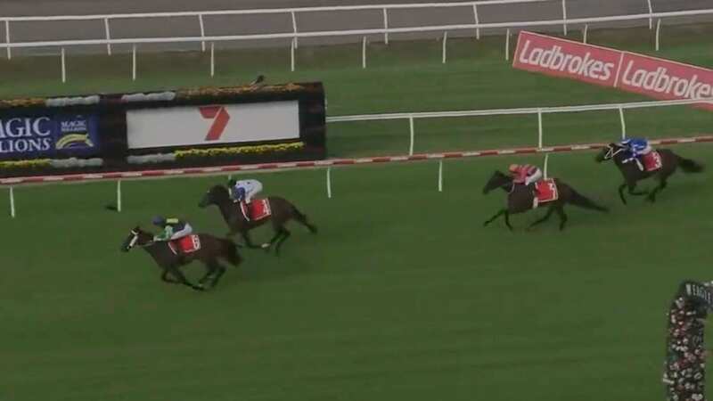 End Assembly (left): tested positive for cocaine after winning this race (Image: Twitter@https://twitter.com/pedigreeupdate/status/1604231565869191168?ref_src=twsrc%5Etfw%7Ctwcamp%5)