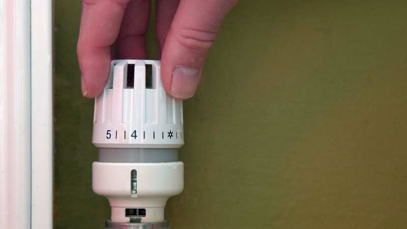 Heat networks are not regulated by Ofgem (Image: Getty Images/iStockphoto)