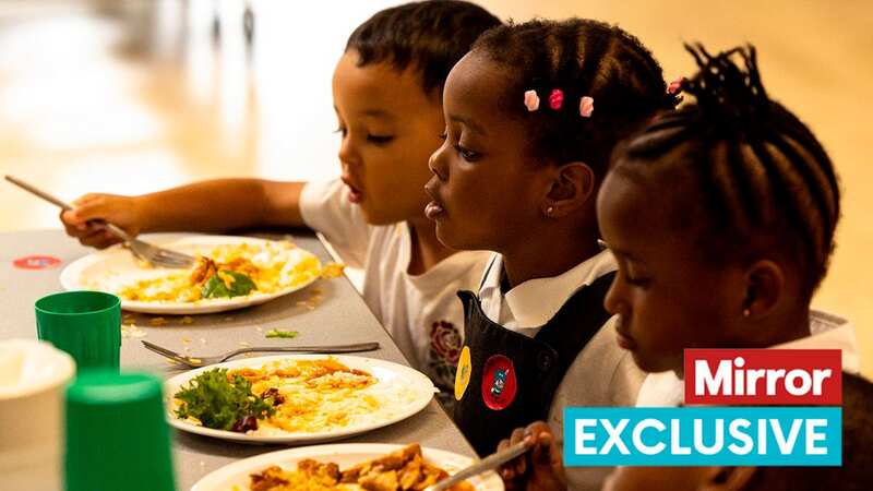 The government has been urged to extend free school meals in the Budget (Image: Getty Images/iStockphoto)