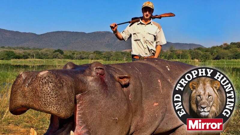 Alex Goss, British boss of Blackthorn Safaris, organises trips (Image: Internet Unknown)