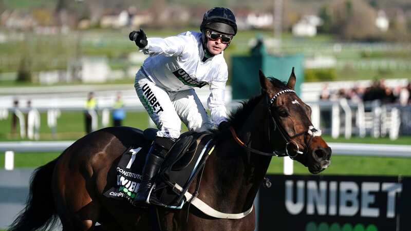 Cheltenham Festival RECAP day 1 results, tips and Champion Hurdle betting