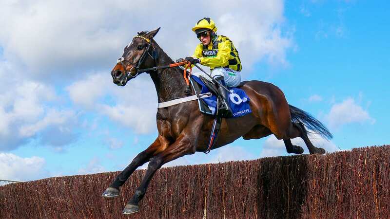 Shishkin returns to Cheltenham for 2023