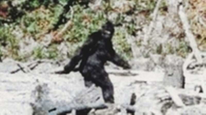 Reports of Bigfoots have been made by people for centuries (Image: Getty Images)