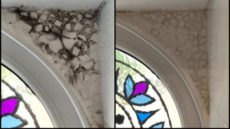 Before and after - no elbow grease required whatsoever, just a cloth to wipe it off at the end (Image: Narin Flanders)