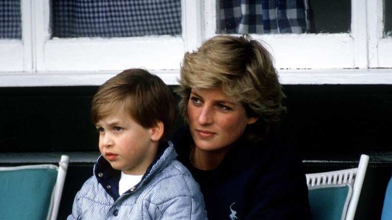 Prince William sitting on Diana