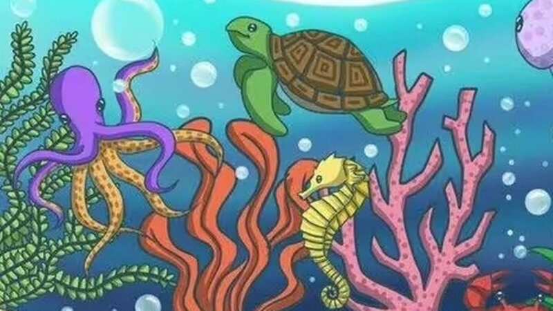 The fish is hidden somewhere in this colourful scene (see full image below) (Image: BRIGHT SIDE)