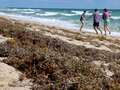 Blob of rotting seaweed twice the width of entire USA is giving people 'anxiety'