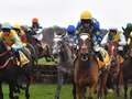 Newsboy's racing TIPS for three meetings, including Haydock NaP dqxikeidqkikdinv
