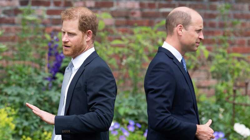 Prince Harry revealed a conversation with his brother Prince William (Image: POOL/AFP via Getty Images)