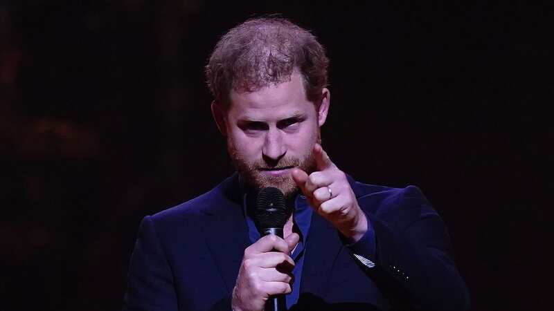 The book is the latest jibe aimed at Prince Harry (Image: PA)