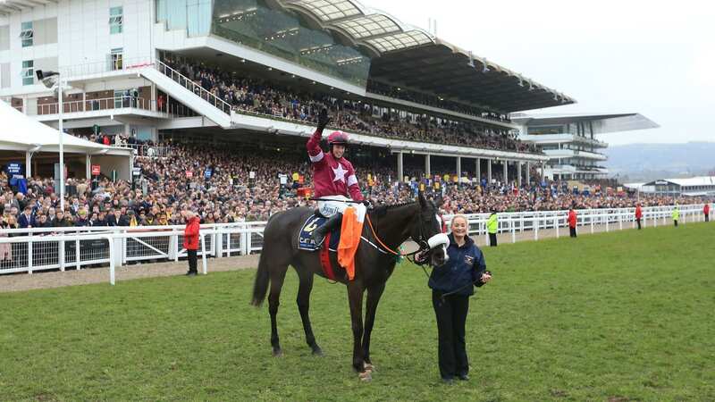 Bryan Cooper enjoyed his best moment on Don Cossack in the 2016 Cheltenham Gold Cup (Image: PA)