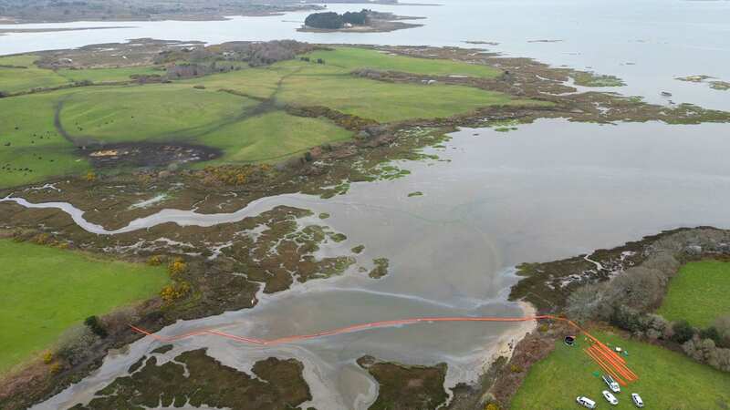 The RSPB said birds were spotted drenched in oil (Image: Steve Reigate)