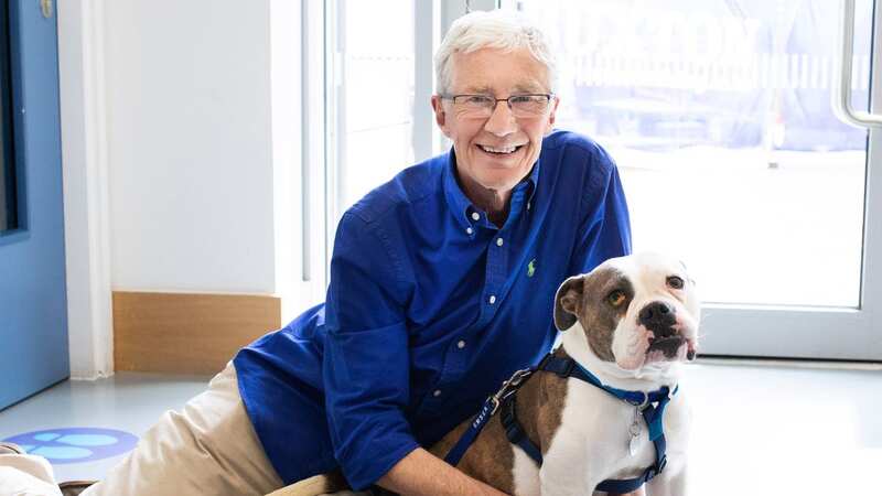 Battersea Dogs and Cats Home pays tribute to 