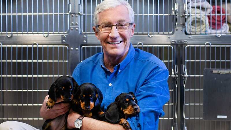 Dog lover Paul O
