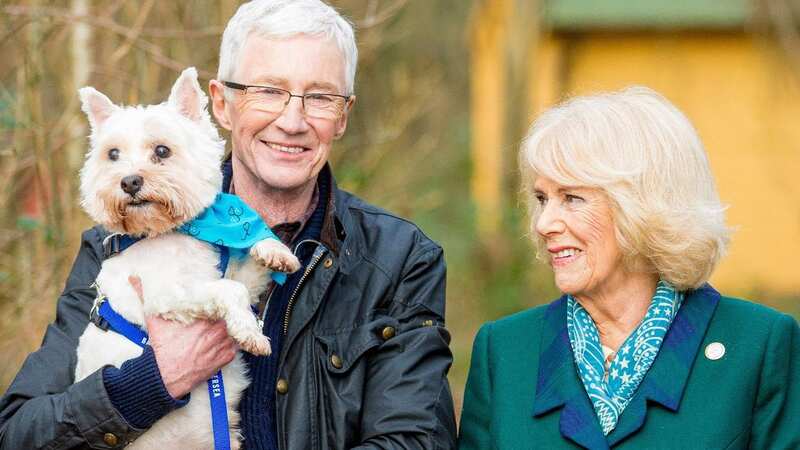 ITV change schedule tonight in wake of Paul O