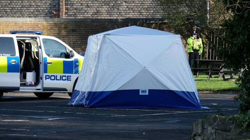 Murder probe launched after man run down by van outside pub