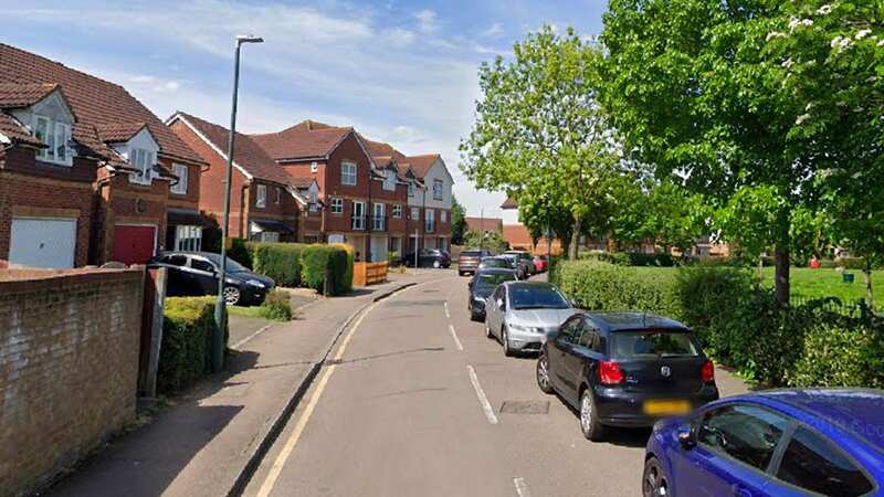 Byron Drive in Erith, south east London, where the dog attack took place (Image: Google Streetview)