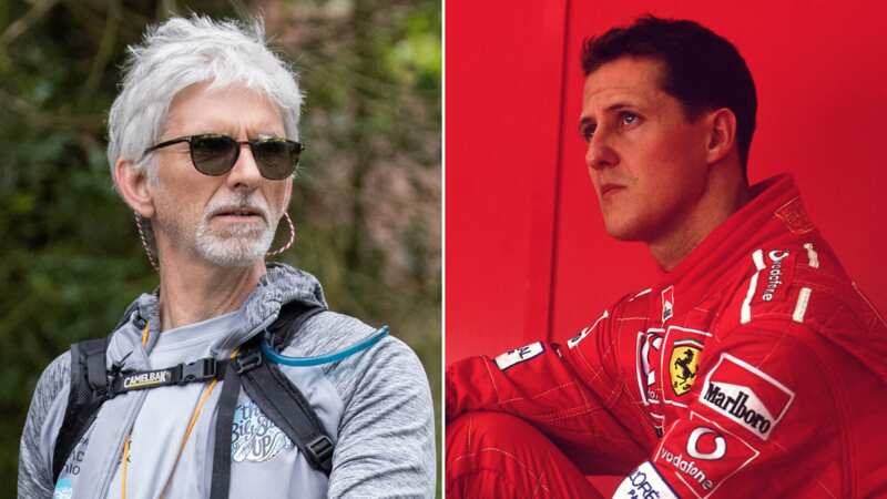 Damon Hill and Michael Schumacher were F1 rivals in the 1990s (Image: AFP via Getty Images)